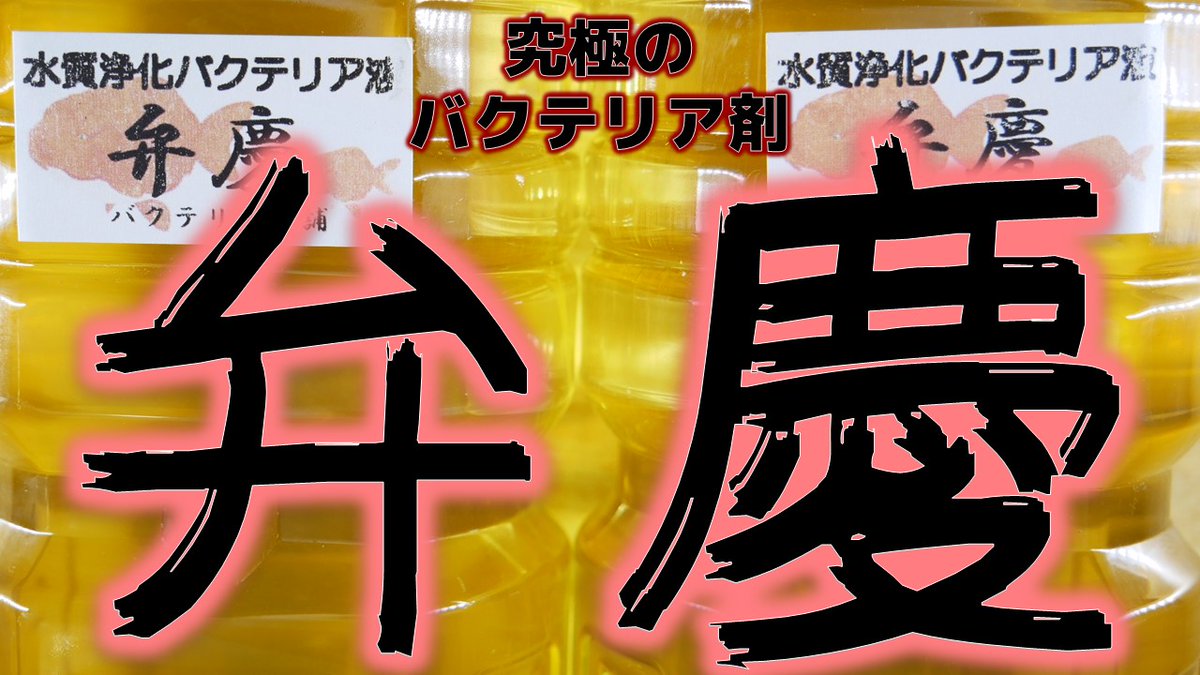 ふぶきテトラ Fubuki Tetra 今回は バクテリア本舗 弁慶の開封及び比較と検証をするお話です 昨年の小次郎について語りつつ 弁慶の水質検査を行い添加しました 見てね T Co Cdpwxcxkfv ふぶきテトラ Fubuki Tetra 今回は バクテリア本舗 弁慶の開封及び比較と検証をするお話です 昨年の小次郎について語りつつ 弁慶の水質検査を行い添加しました 見てね T Co Cdpwxcxkfv