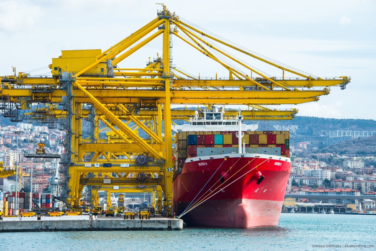 Newbrain PLUS project tweet media