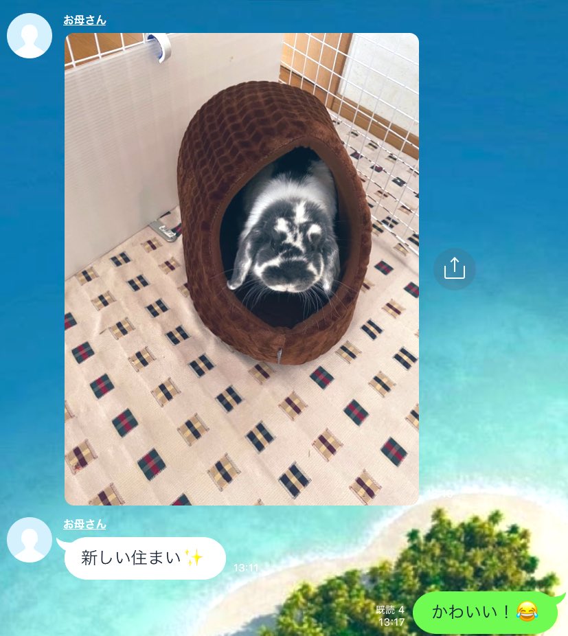 岡田 志保 Shiho Okada Shihookada Twitter