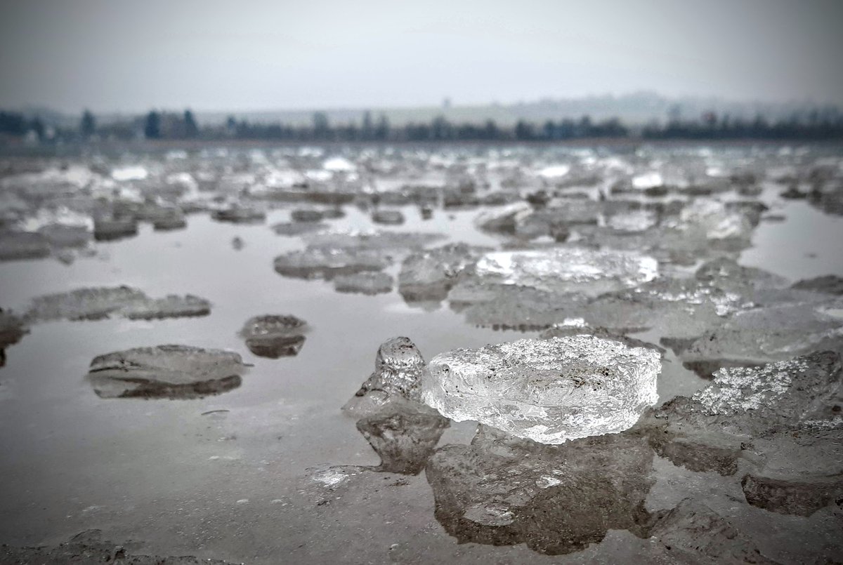 Zpravyzmesta's tweet photo. Procházka kolem Boleváku a výhled počasí dává naději, že letos by se mohlo na rybníce bruslit :-)
Takže pokud už máte zabalené brusle na Šumavská jezera, vydržte chvilku a můžete si v klidu zabruslit i v Plzni :-)
#plzen #sumava #brusle #bolevak https://t.co/FtonRnnqxg