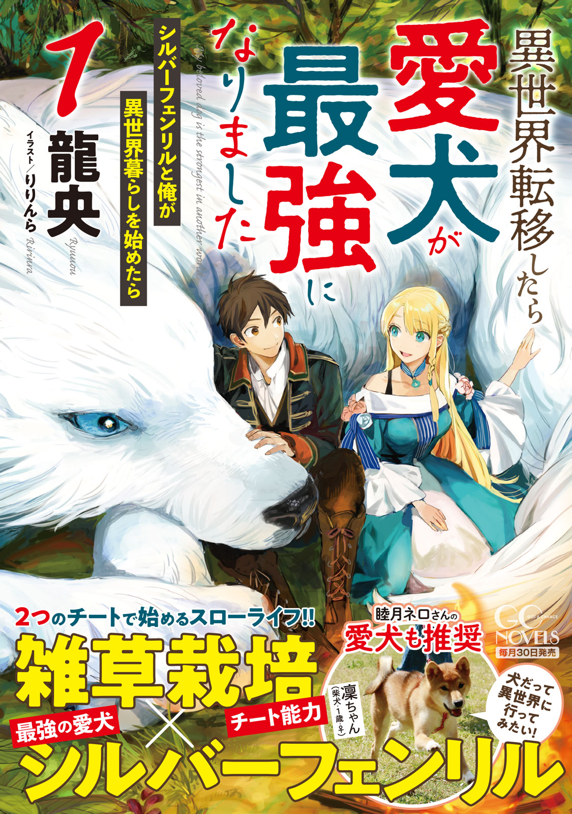 تويتر Gcノベルズ公式 Gcn文庫第2弾 大好評発売中 على تويتر 発売即重版 愛犬といっしょに異世界行行っちゃった系ファンタジー 異世界転移したら愛犬が最強になりました 第1巻 好評発売中です 異世界でおっきくなった愛犬からジト目で見られたり