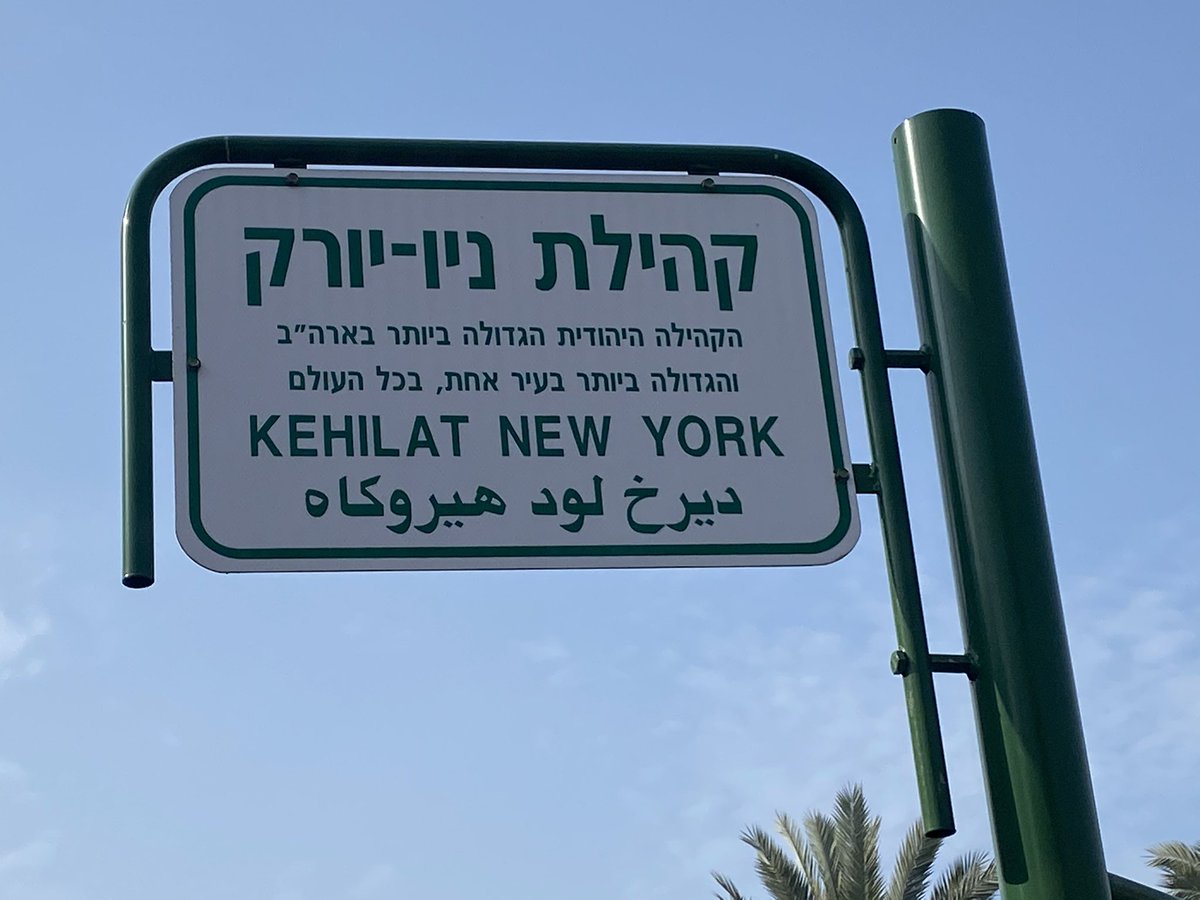 דני דיין tweet media