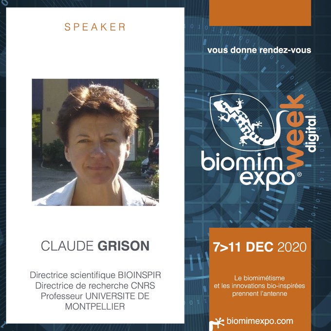 BiomimExpo's tweet photo. [#Environnement] Des #plantes aspirent les #métaux lourds dans d’anciennes mines grâce à @ClaudeGrison @chim_eco @BioInspir @CNRS @umontpellier https://t.co/r4q7EQzyyd v/@OuestFrance #nature #biodiversité #phytoremediation #biomimetisme #bioinspiration #BiomimInvest #Biomimexpo https://t.co/qLd5VeqeE0