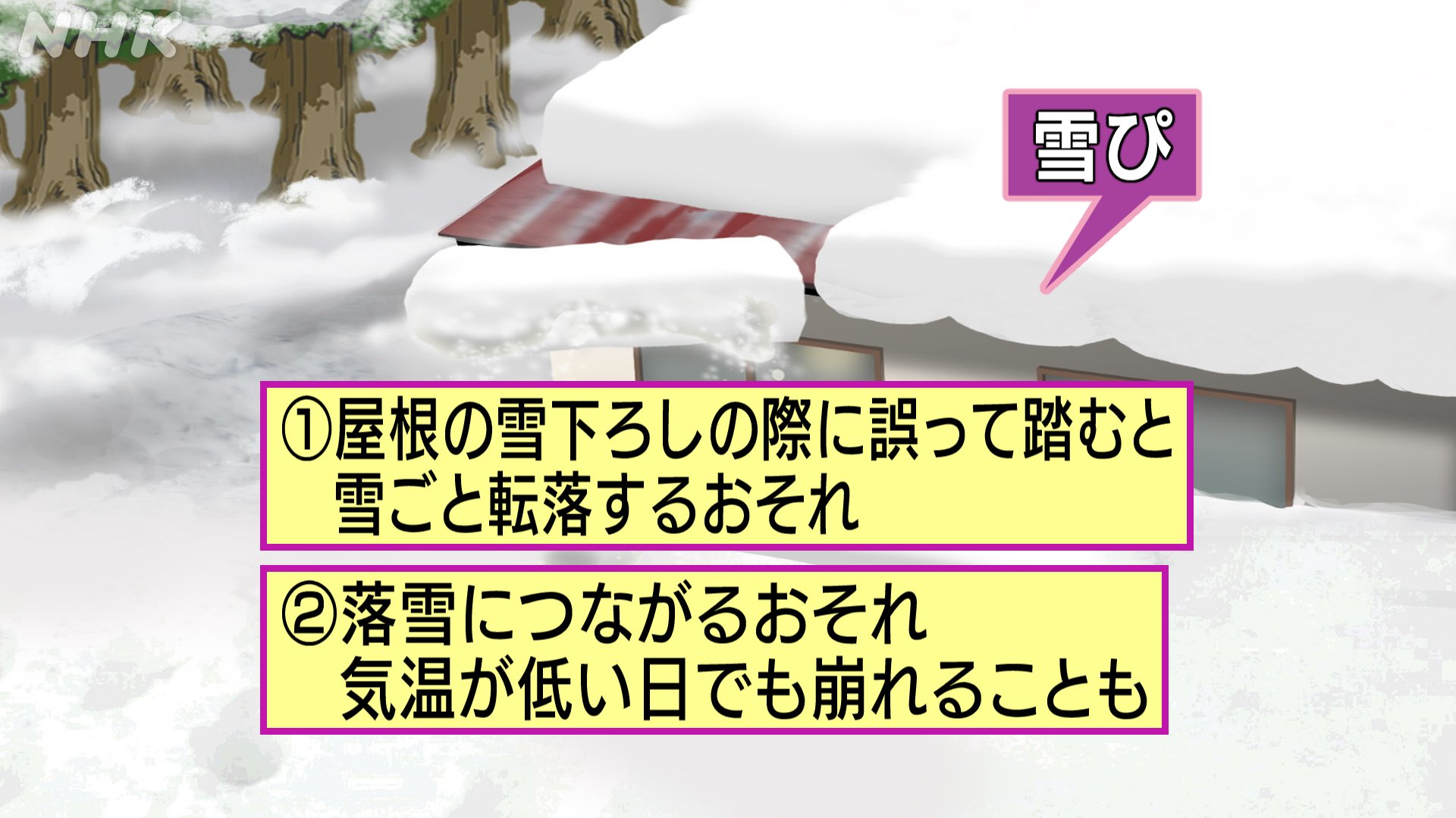 荒木健太郎 雪ぴ は正しくは 雪庇 という漢字で ゆきぴ ではなく せっぴ と 読みます 常用漢字でないためにnhkさんでは漢字表記できないとのこと 可愛い感じに読めてしまいますが 雪下ろし中の事故や落雪による被害をもたらす現象ですので