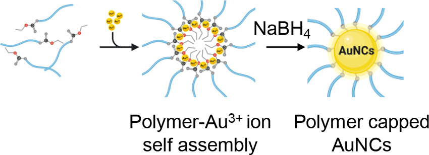 NanoLetters's tweet image. The synthesis of highly monodisperse, stable and fluorescent gold nanoclusters with programmable properties is now possible using xanthate-functionalized polymers. @AnnaCifuR @KempiGroup @voelcker_lab @ThurechtGroup @excitonscience @ARCCoEBionano  acspubs.co/Z4uF50CX1qC /#NLAR