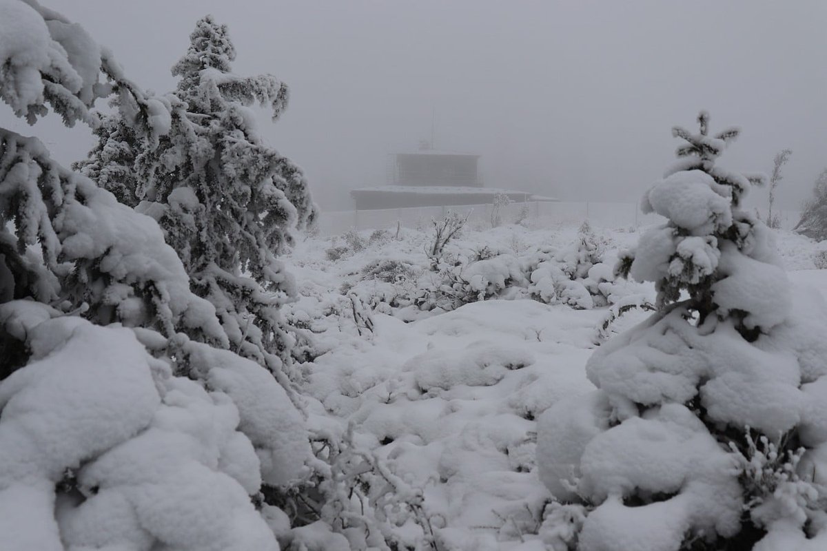 CHMUCHMI's tweet image. #stanice Churáňov. 5.1. namrzá mrholení. Teplota v 11 se drží na -2,1°C, 14 cm sněhu. Skoro tři dny nás zásobovali ze sjezdovek umělým sněhem, který vytváří zvláštní druh námrazků podobných jinovatce. Mlha je stále stejně hustá, dohlednost okolo 80 metrů. (#meteorolog R, Szpuk).