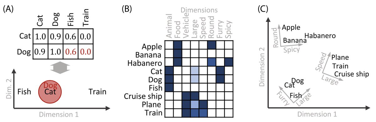 ProfData's tweet image. Our (@BDRoads) TiCS spotlight "Similarity as a Window on the Dimensions of Object Representation" discusses exciting work led by @martin_hebart on inferring semantic representations from human similarity ratings. (1/2) cell.com/trends/cogniti…