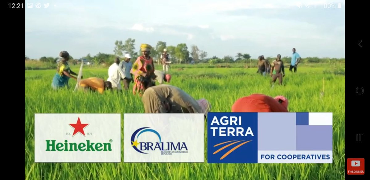 In spite of covid, floods &amp; insecurity, the DRC Ruzizi rice cooperatives managed to supply on time 99% of the rice ordered in 2020. Well done farmers! <a href="/Agriterra/">Agriterra</a>DRC @Agriterra <a href="/BralimaSA/">BRALIMA SA</a> <a href="/faustinkuli1/">Faustin kulimushi</a> <a href="/MuganguChristo1/">Mugangu Christophe</a> <a href="/Jimliseki/">Jim Liseki</a> <a href="/Heineken_NL/">Heineken NL</a>