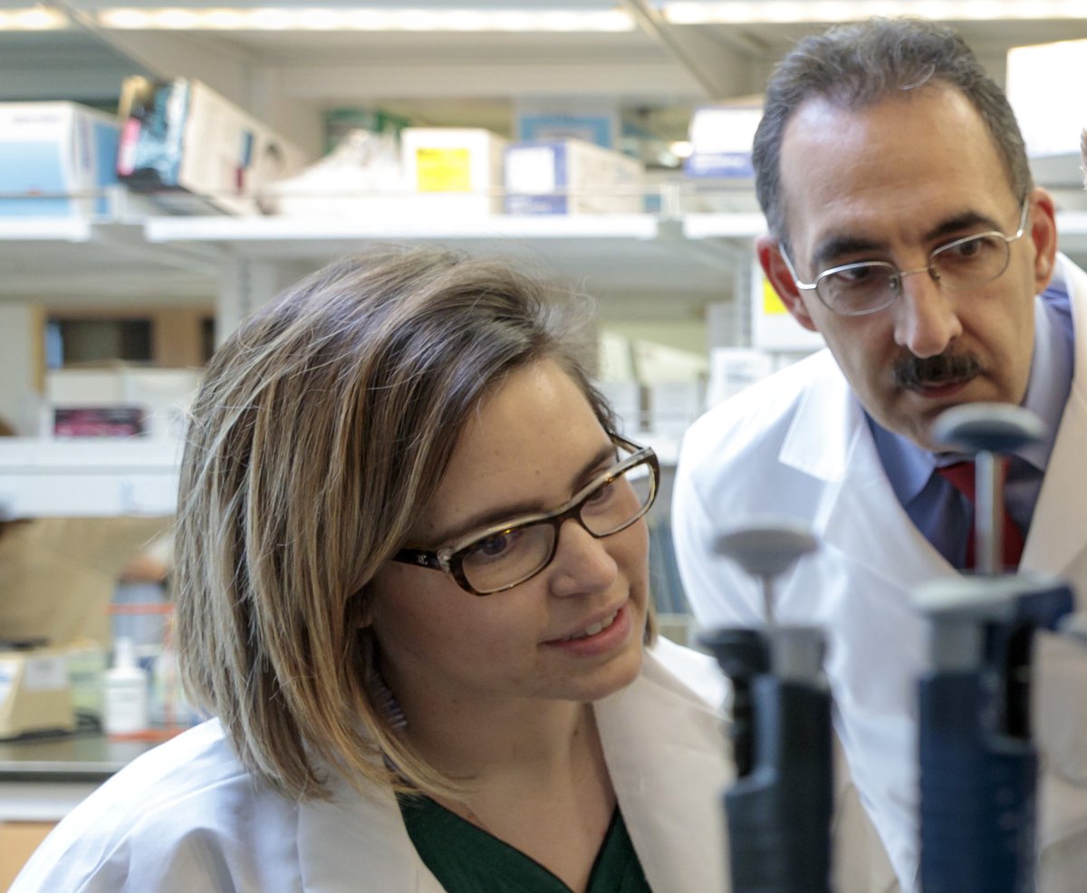 ShrinersStLouis's tweet image. Big news coming out of our Research Center this morning. Dr. Farshid Guilak’s team has made a major discovery regarding obesity and arthritis. Game-changing research by @Farsh_G and his colleagues. ow.ly/kdcC50CTfxd

#Shriners #ShrinersSTL #ShrinersHospital #Arthritis