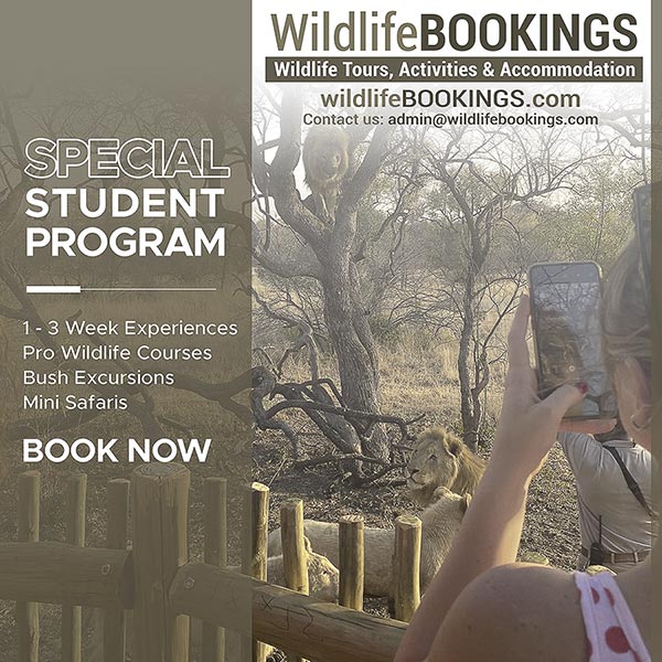 GREAT BushBreaks 2021 - mailchi.mp/a39d45931dd0/b…