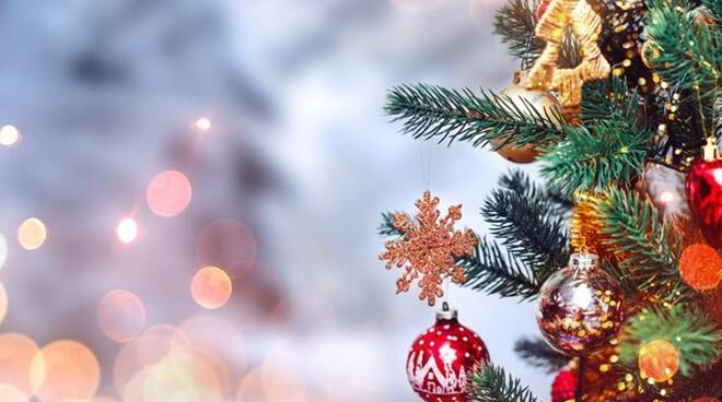 ivanoscifoni's tweet image. Auguri di buon natale dai membri della community #SharpCoding!!!