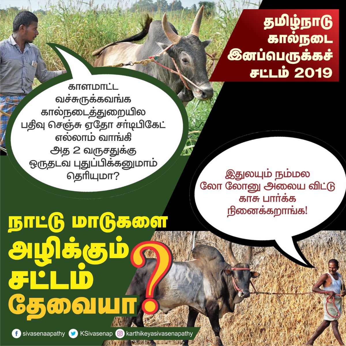 ksivasenapathy's tweet photo. நாட்டு மாடுகளை அழிக்கும் இந்தச் சட்டம் தேவையா? @AIADMKOfficial 

#WithdrawBovineAct
#SaveCattle
#JallikatuProtestwillbeBack
#ADMKAgainstFarmers https://t.co/TiNdbSzNlp