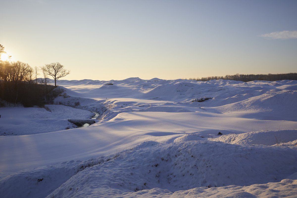 PGA of America tweet media