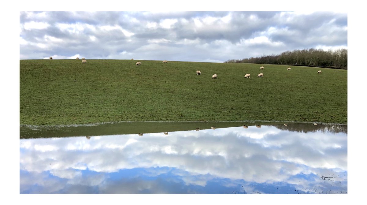 StumpStone's tweet image. #landscapephotography #iPhonephotography