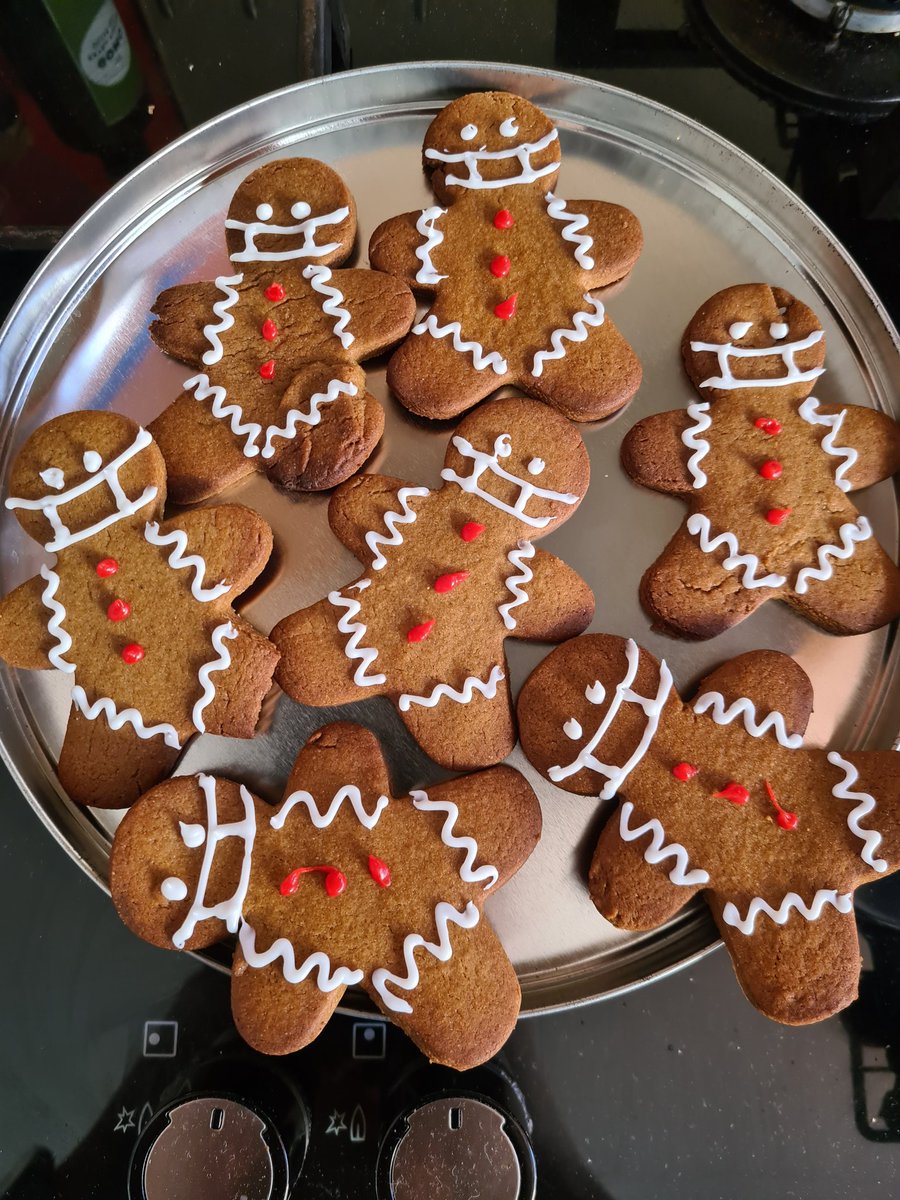 ailish_sullivan's tweet photo. Am I doing Christmas 2020 right? https://t.co/gJIMUaptly