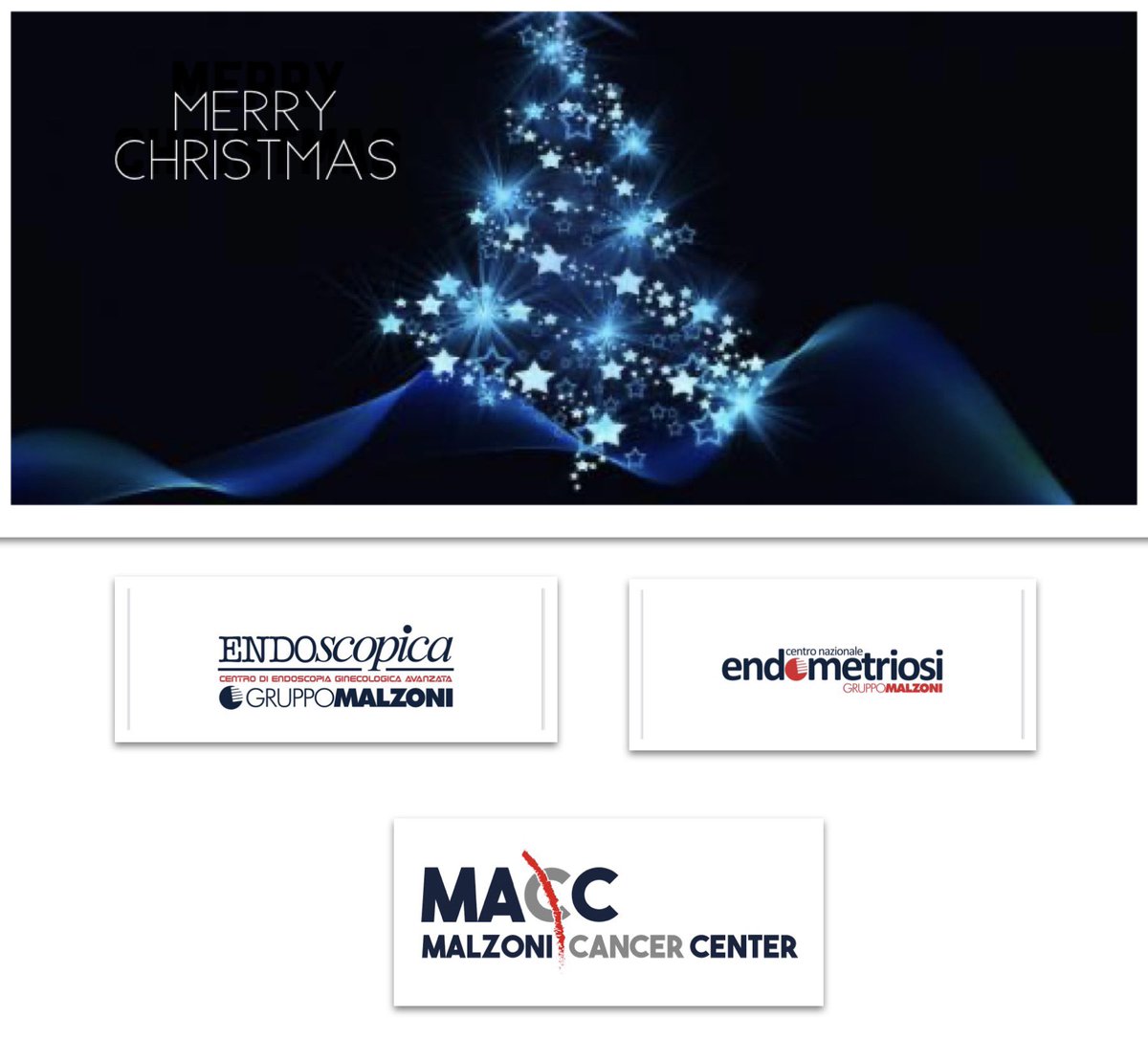 Mario Malzoni (@malzonimario) on Twitter photo 