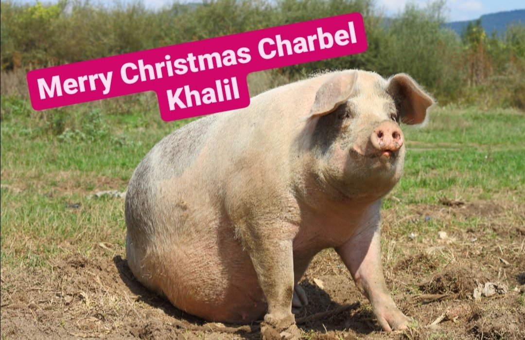 <a href="/khalil_charbel/">Charbel Khalil</a>