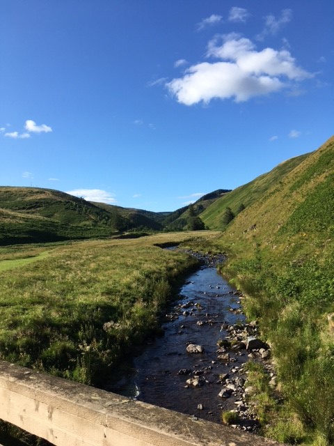 If you’re in &amp; around rivers over Christmas, whether it be swimming, canoeing, fishing, or simply out for a family walk please make sure you #CheckCleanDry any equipment &amp; footwear to help stop the spread of invasive species nonnativespecies.org/checkcleandry/… Seasons greetings to all!