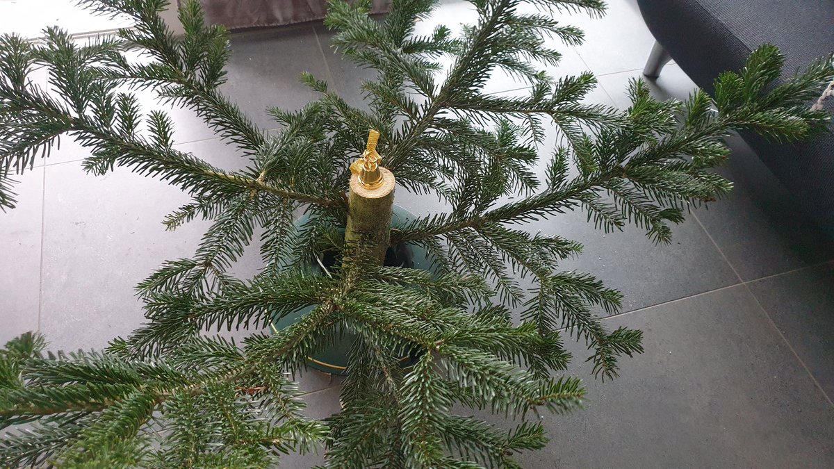 KaempfeChris's tweet photo. Der diesjährige #Weihnachtsbaum fasst das #Jahr2020 ganz gut zusammen. In diesem Sinne allen ein #MerryChristmas2020 ❤️🎉 https://t.co/SCTIWo8dY4