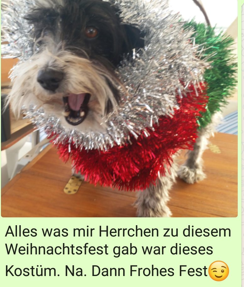 Blond (@blondbar) on Twitter photo 