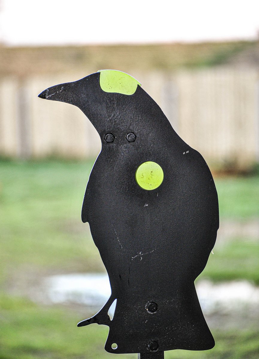 Our gift vouchers can be used for clay shooting or at our new air gun range!

*Open 6 days a week
*£10 per hour, per lane for the first hour, £5 per hour thereafter (rifle hire an additional £10 per hour)
*Suitable for all ages (u18s must be supervised by an adult)