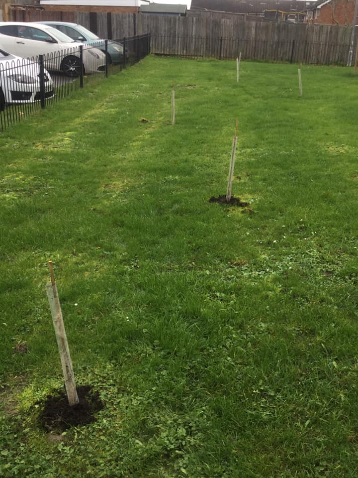 hellofairhive's tweet photo. New trees planted at Mitcham Walk and the Bearbrook Community Orchard a few weeks ago 🌳

#Communities4Life #GreenSpaces https://t.co/fktBnVADaS