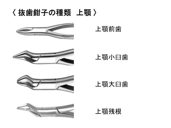 抜歯鉗子の種類（上顎）大臼歯部用は嘴部（先）の屈曲に特徴あり