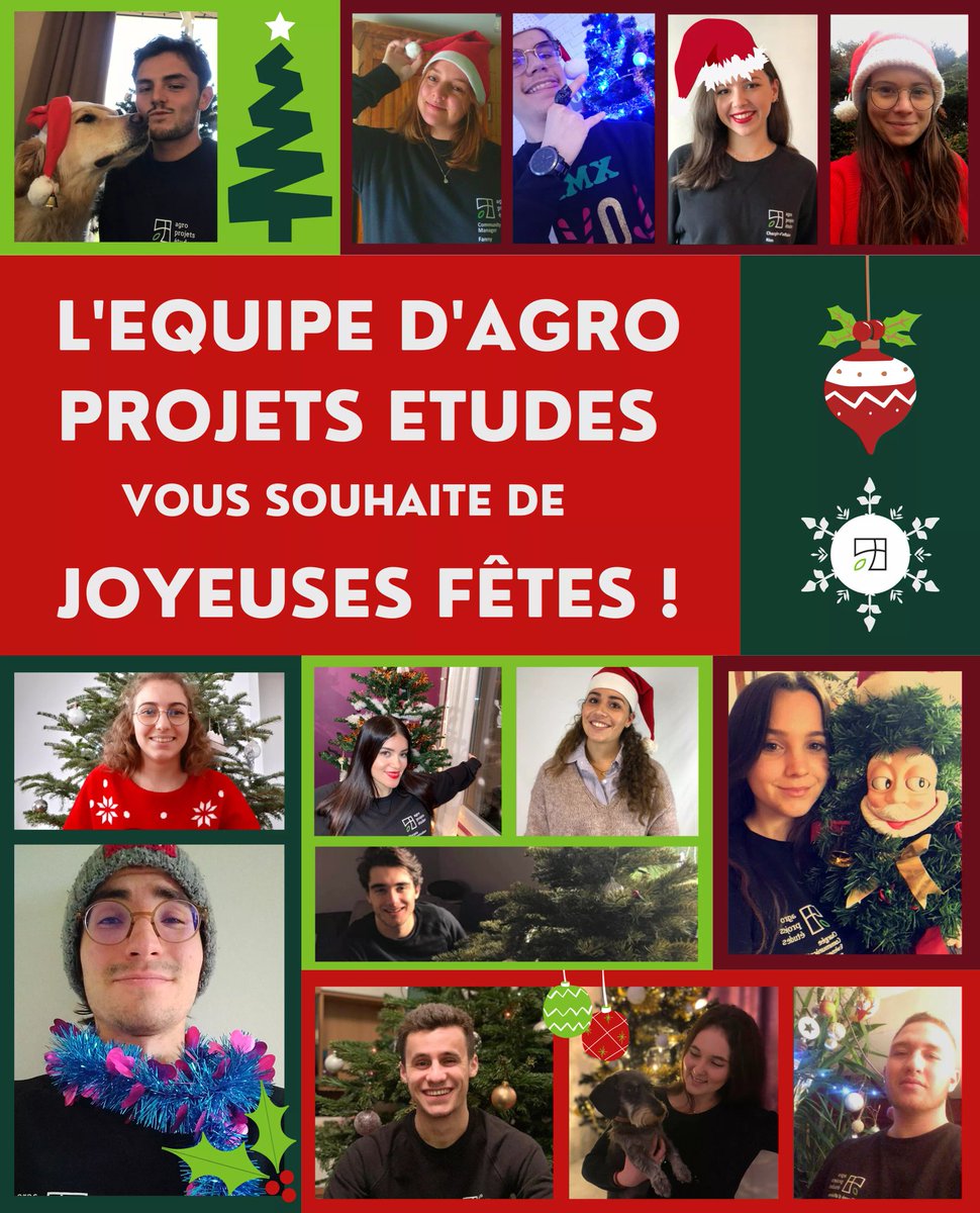 Agro Projets Etudes tweet media