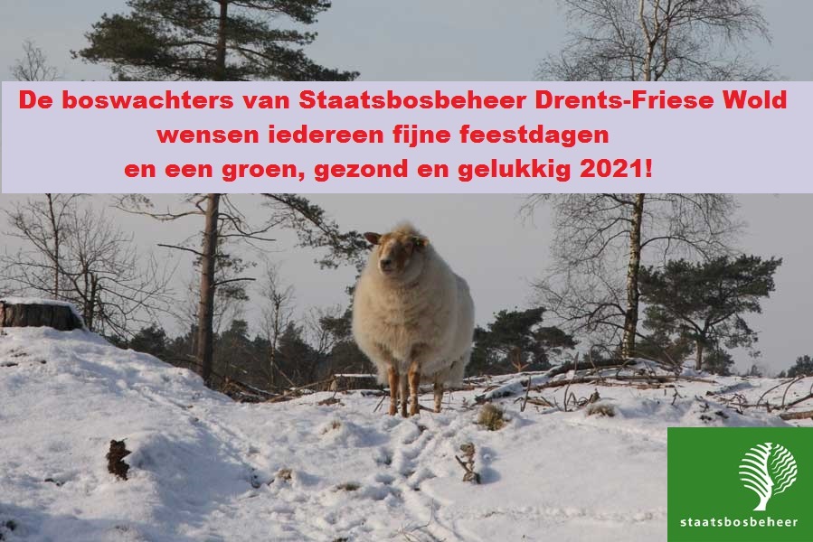 Buitencentrum DFW (@naarbuiten_dfw) on Twitter photo 