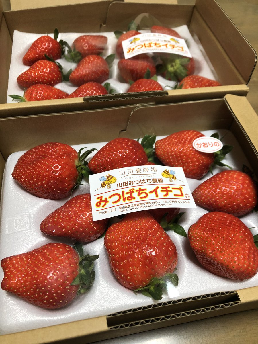 山田みつばち農園