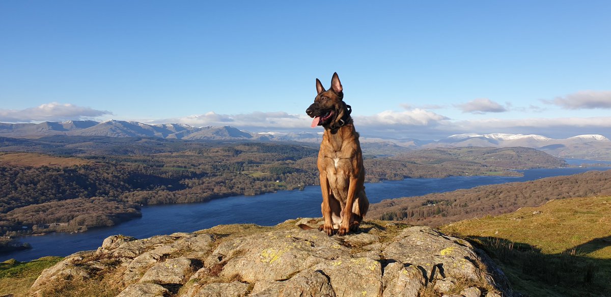 AdrianHefferna2's tweet image. Nice walk up Gummers how with the family..  christmas eve traditions ❤