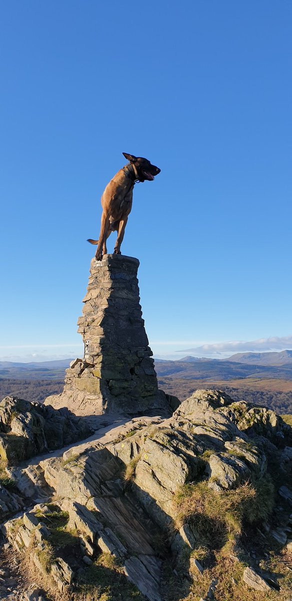 AdrianHefferna2's tweet image. Nice walk up Gummers how with the family..  christmas eve traditions ❤