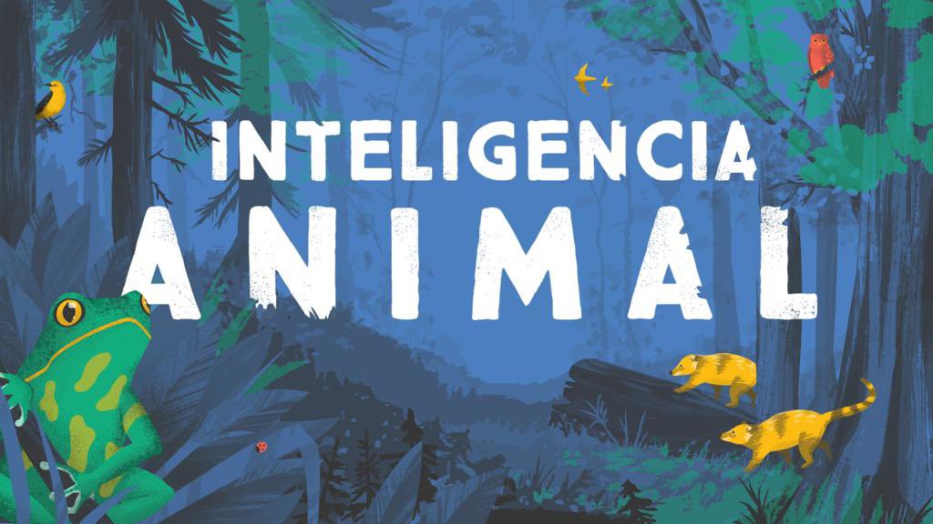 Les presentamos #InteligenciaAnimal, la nueva serie que estrenaremos en 2021 por <a href="/CanalPakapaka/">Pakapaka</a>. El mundo animal llega a la tele con la increíble voz de <a href="/lizarazuok/">Hilda Lizarazu</a> 🐞🦉🐛
