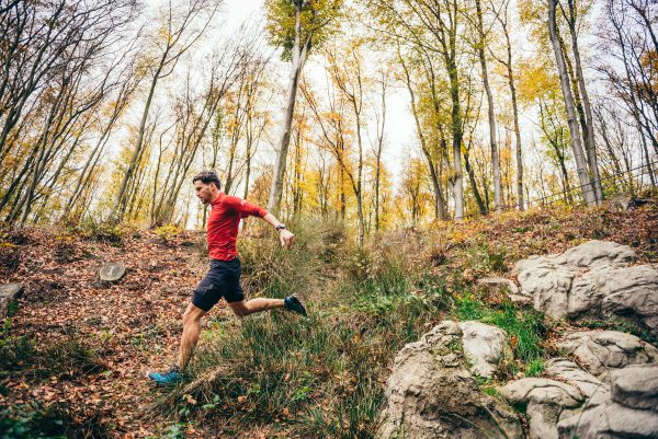 triathlonNL's tweet photo. Trailrunning is een fijne manier om je door de natuur te bewegen, onvoorspelbaar en avontuurlijk. En met een paar handige tips kun jij straks ook een langere trail lopen. Barbara Kerkhof helpt je namens #TransitionMagazine op weg, met uitleg en een schema
https://t.co/gkJFf9hAqr https://t.co/Z50HN7jxdw