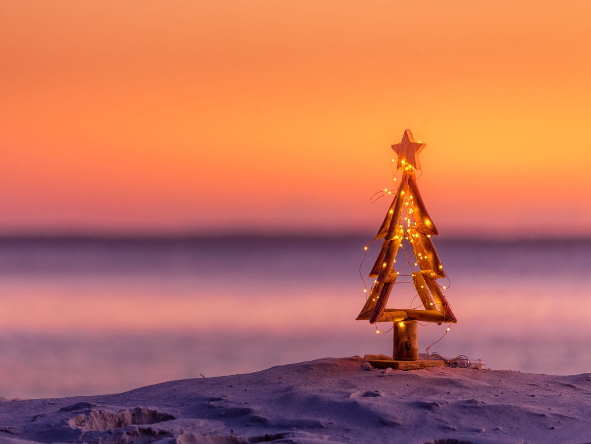Mville_HBR's tweet photo. 'Tis the SeaSon.... just 24 hours remain!  

How many of you swapped out your tree-topped Star with a Starfish instead this year?
•
•
•
•
•
#ProTips #ChristmasInParadise #TropicalInspiration https://t.co/mV4OFTqYbi