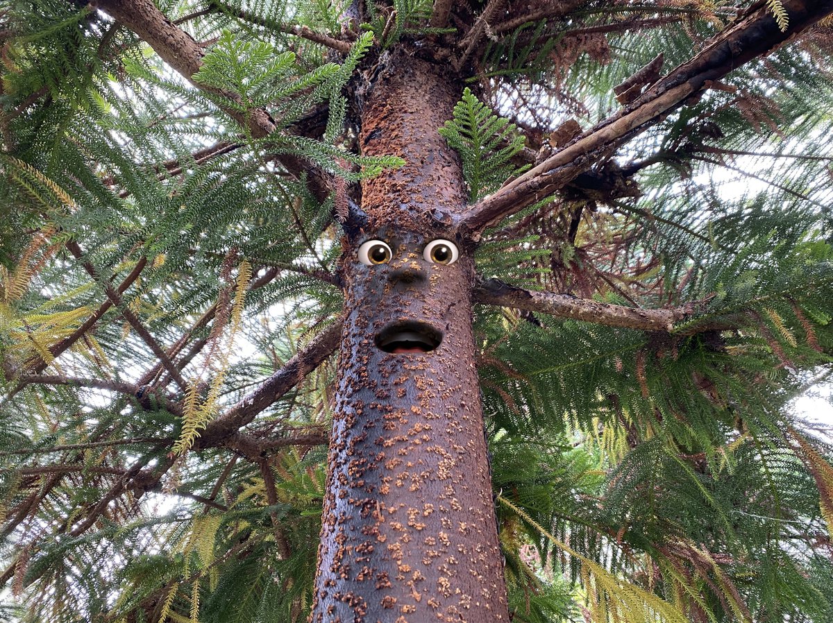 EarthSpeakr's tweet photo. Kids can animate their surroundings, get creative, and speak up for the planet with the Earth Speakr app.
#EarthSpeakr #ListenToTheFuture https://t.co/MbPj28uJBf