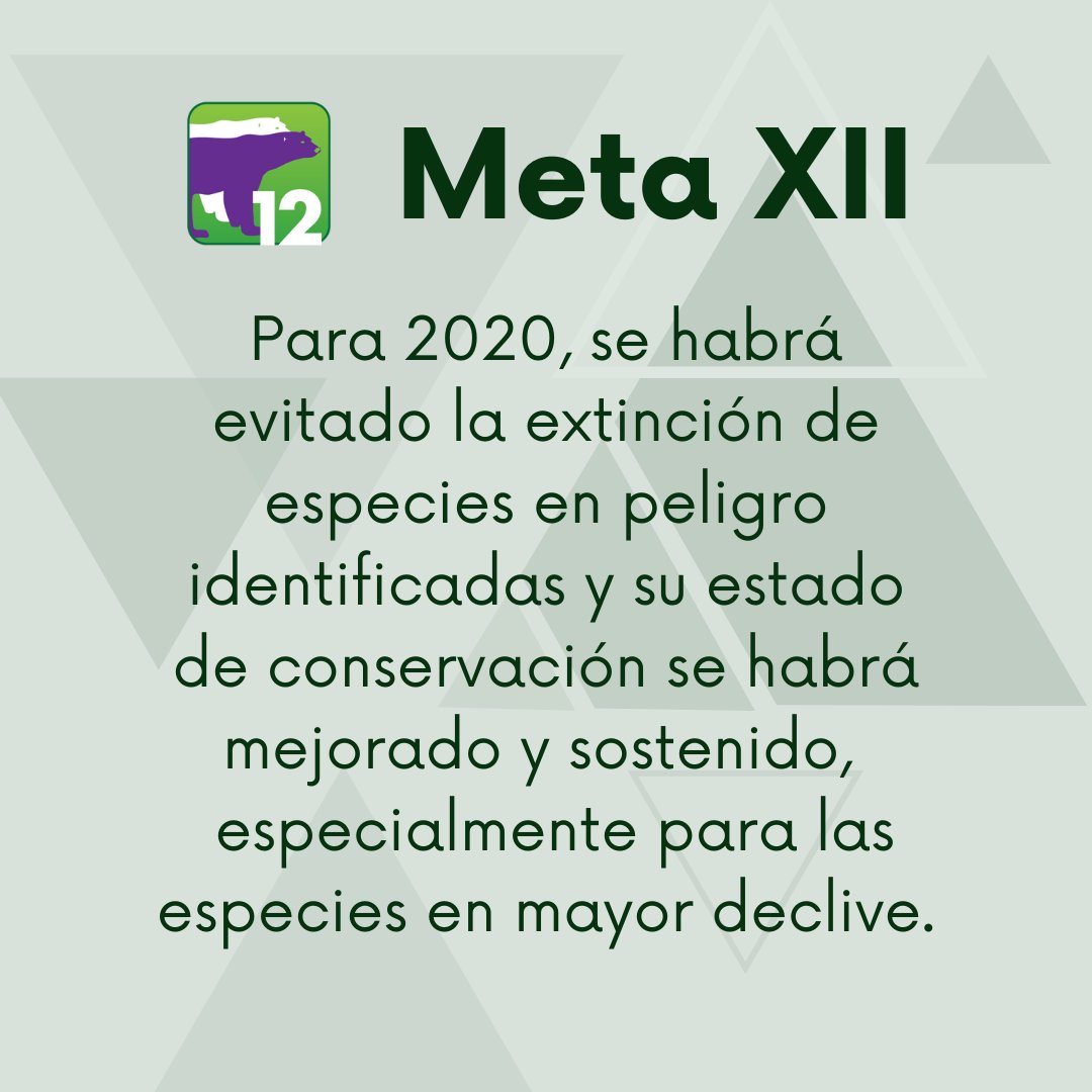 SagaceCS's tweet photo. La meta de hoy en las #metasaichi es la meta 12
Deberíamos conocer el estado de las especies en peligro de extinción y haber evitado su desaparición.
#UnaDécadaDespués #Sagacecs #Emelemé #elestuario @el_estuario 
https://t.co/Pc78sUcIuL https://t.co/WxCRwFtobr