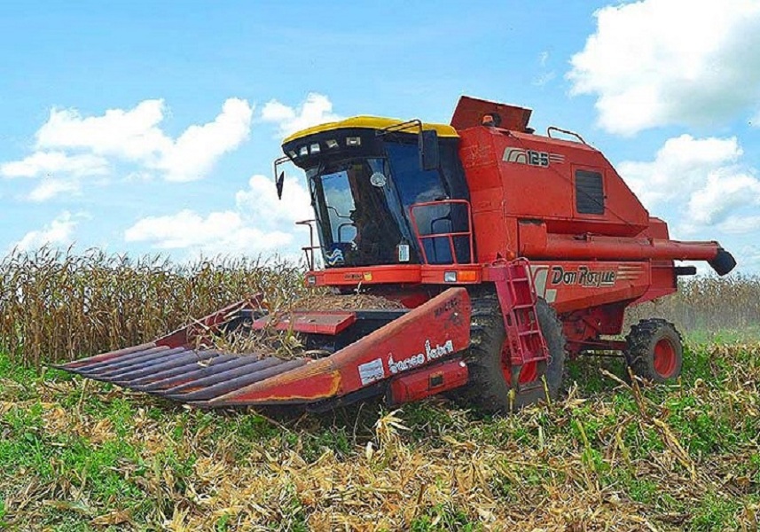 #NotiMippCI 📰🗞| Guárico ha cosechado 217 mil hectáreas de cereales durante 2020. Lea más ⏩ bit.ly/3poAvZw
#FelizNavidadVenezuela