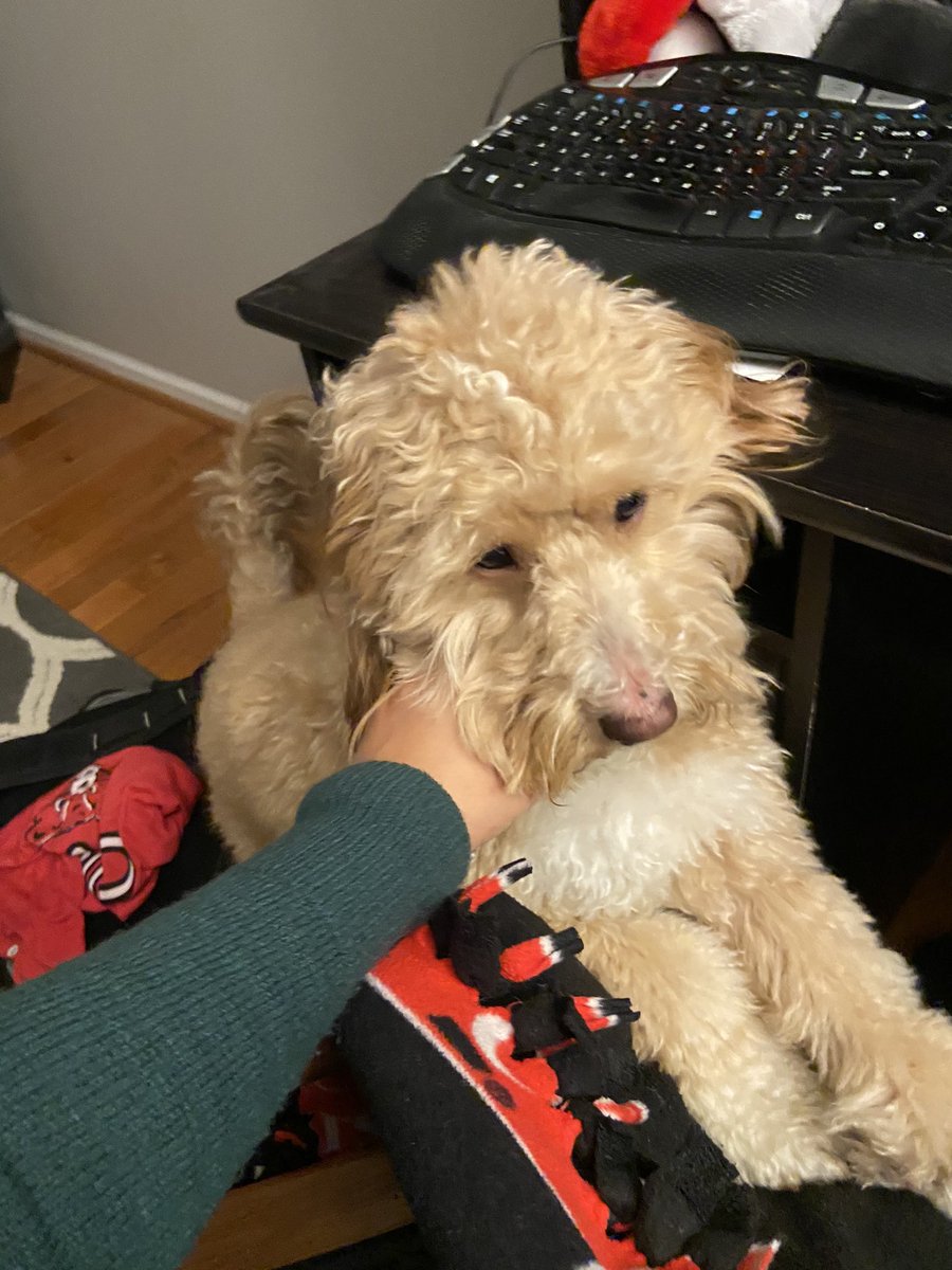 Kirstie Zontini tweet media