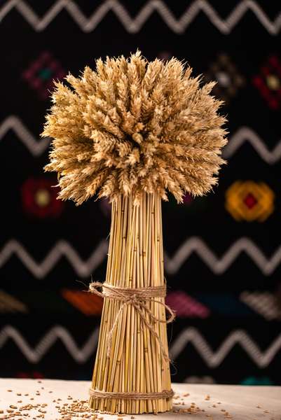 Thread (longish): This is Diduch or Did, the most important decoration made in the Carpathian villages in Western Ukraine during the traditional winter holidays, originally Winter Solstice, now Christmas...