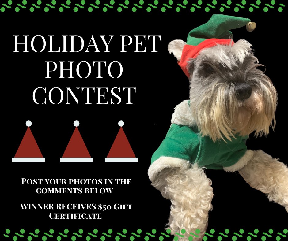 Pet Holiday Photo Contest, Market Square! Go to our FB page to enter: facebook.com/MarketSquareSJ