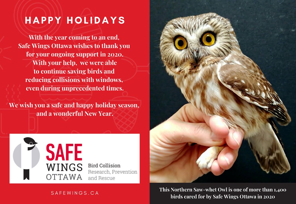 SafeWingsOtt's tweet image. #HappyHolidays from #SafeWingsOttawa. Thank you so much for your support this year - with your help, we were able to continue saving birds and reducing #windowcollisions.
