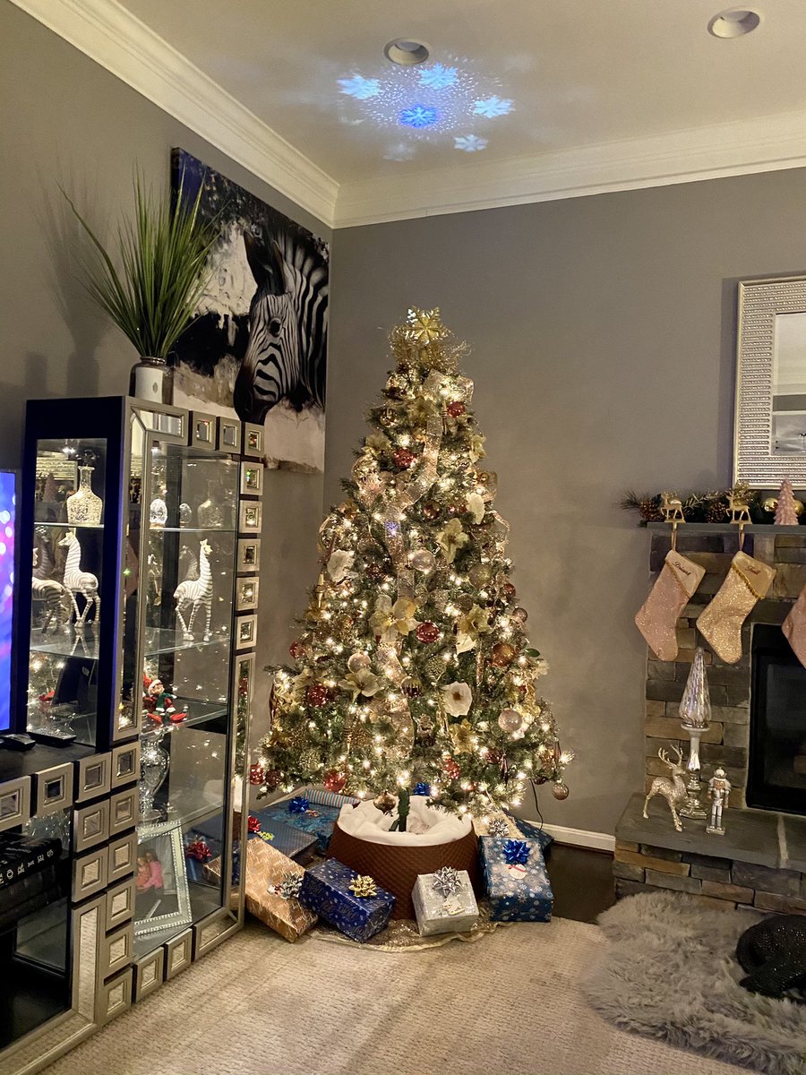trellmaria's tweet photo. Happy Holidays from the Walker family! #gooddaydc #Fox5DC https://t.co/8wyghM0VRP