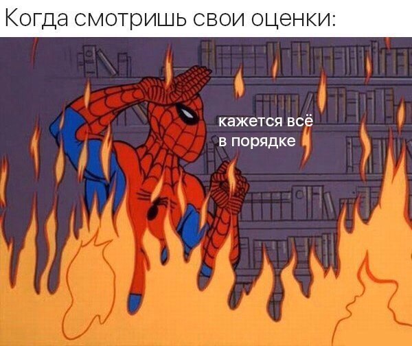 malyshka_sandra's tweet photo. ТУПО Я СЕЙЧАС ВО ВРЕМЯ СЕССИИ АХАХАХА https://t.co/id8bS4VNct