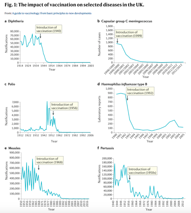 doctormacias's tweet photo. Para quien dude de la eficacia de las vacunas. Esa gráfica del Reino Unido nos muestra el control y hasta la eliminación de azotes de la civilización, como difteria, sarampión, polio, tos ferina y meningitis por Haemophilus y meningococo (Nature Rev Imm, dic 22, 2020) https://t.co/99MhzzHqjc