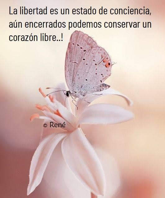lamoscacojondra's tweet photo. @Anibalf7 @fandelmejor684 @bucker125 @PMajeton @mgicafe @BarreirAurora @Martina33365320 @graciagv2 @NataliaArana19 @alebeneroso @Malaga97451918 @1_pedrodeltoro @Rosemarie0548 @nievesfouz @Cordobesainfliz @GAUDEUN @sisagusa @criticonico @Desorial @Maribel45052139 @Paulina81185733 @pilarmoreno52 @paquidelrio1 @violetarnb @fandelm49133759 @alvarez_tila @carmenarpon @valiumpatomar @Carmen_AMartin @Isabelvieneotra @ElMentalista11 @getaparo @Anibalfd2 @gmh_upsa @albaristina @Maribel67927325 @AngelesRendn1 @JUANEN211065 @SergioAlvarezA4 @pepifaraona @g_palmira @ARRAUTXES @VelascoBegoa @Dunia20702172 @Monologuista1 @isaimarivent @campiezo2 @Sussa36752332 @Hermi35939249 Estos #listosdelistas,esta #CASTA,no nos la quitamos de encima,y muy a mi pesar,ni con milagros https://t.co/xDcDBQkTY5