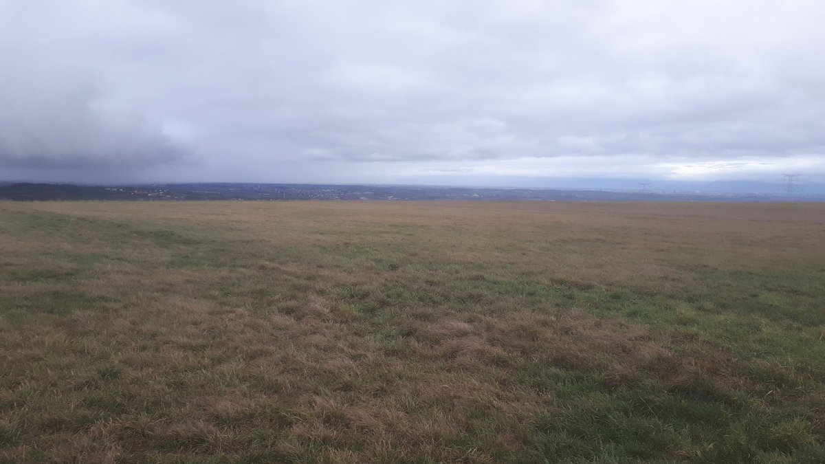 Peaceful time in Elsace. Thanks <a href="/Linkionet/">Linkio</a> and <a href="/Kevin_Linkio/">Kevin BERTON</a> for this amazing year spent togetjer. Happy ne year to all.