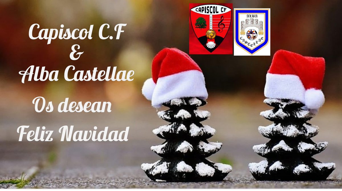 Desde el Capiscol C.F y Alba Castellae os deseamos a todos una muy Feliz Navidad.