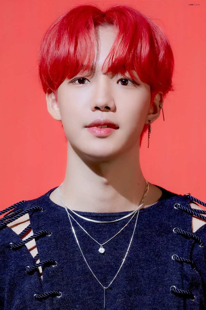 리미트리스 tweet media
