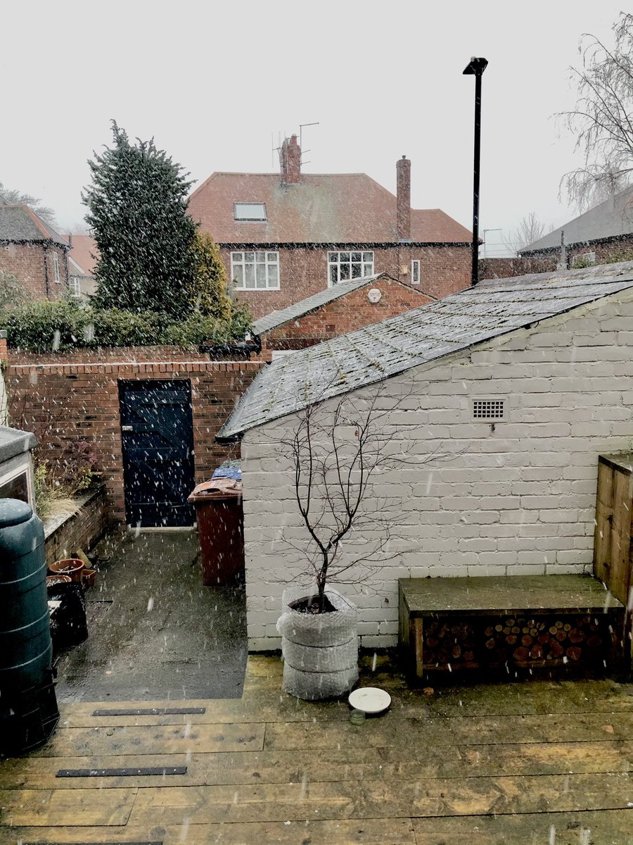 Christmas Eve. Darkness. Snow. Mouse. Croissant. Housework. Snow. Relax.  Snow.